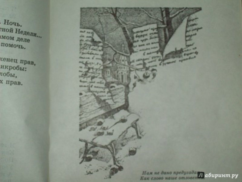 Иллюстрация 10 из 48 для Стихотворения и поэмы - Анна Ахматова | Лабиринт - книги. Источник: КошкаПолосатая