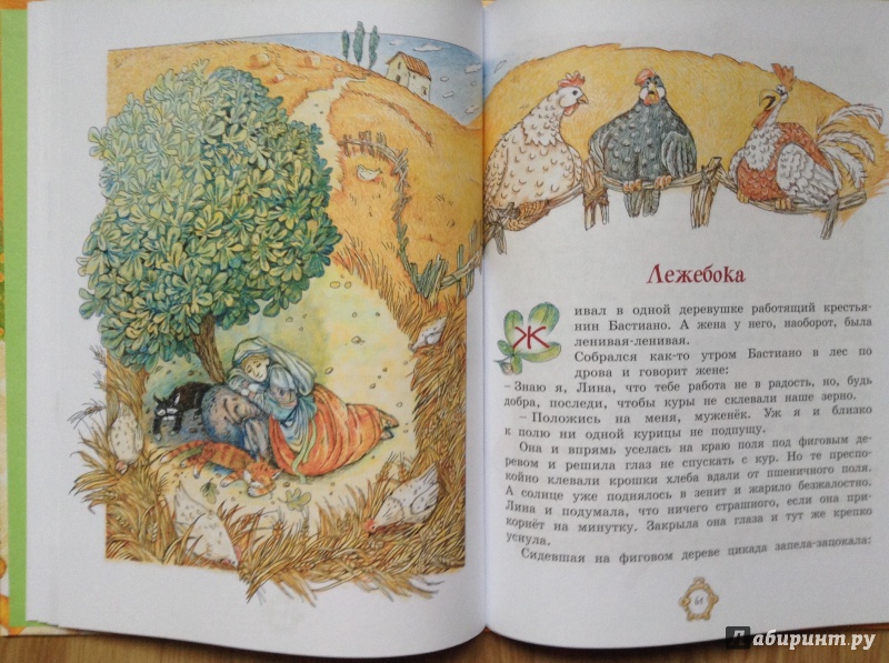 Иллюстрация 20 из 43 для Принцесса из Апельсина | Лабиринт - книги. Источник: Умная Дуня