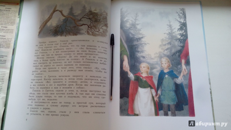 Иллюстрация 27 из 42 для Гензель и Гретель - Гримм Якоб и Вильгельм | Лабиринт - книги. Источник: Косова  Мария