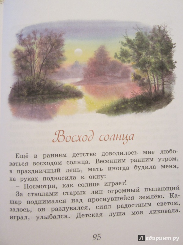 Иллюстрация 18 из 32 для Домик в лесу - Иван Соколов-Микитов | Лабиринт - книги. Источник: ЮлияО