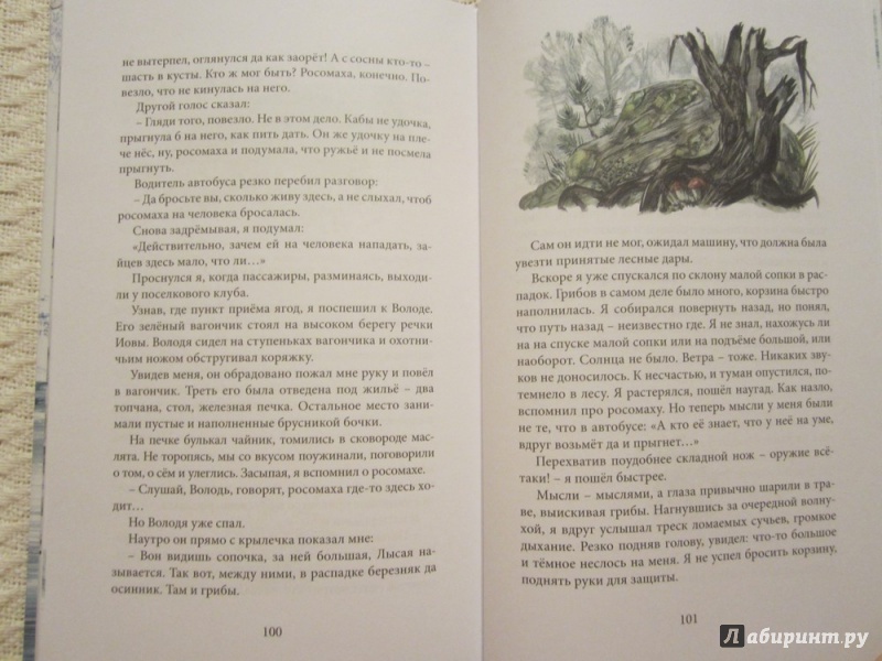 Иллюстрация 40 из 44 для У нас на Крайнем Севере - Олег Бундур | Лабиринт - книги. Источник: ЮлияО