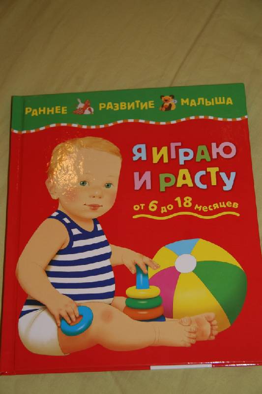 Иллюстрация 7 из 45 для Я играю и расту: Развитие малыша от 6 до 18 месяцев | Лабиринт - книги. Источник: kisska