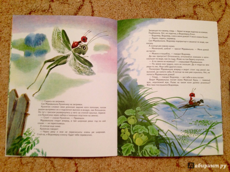 Иллюстрация 11 из 33 для Как муравьишка домой спешил - Виталий Бианки | Лабиринт - книги. Источник: Псевдоним