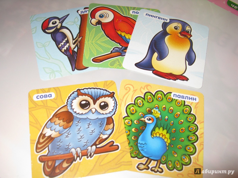 Иллюстрация 3 из 18 для Развивающая игра-лото для детей 3-5 лет "Птицы" (05262) | Лабиринт - игрушки. Источник: sova2128