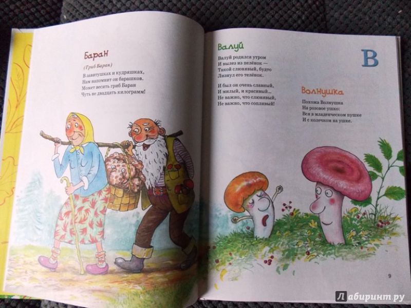 Иллюстрация 32 из 54 для Большая грибная книга - Андрей Усачев | Лабиринт - книги. Источник: Virchenko  Lenka