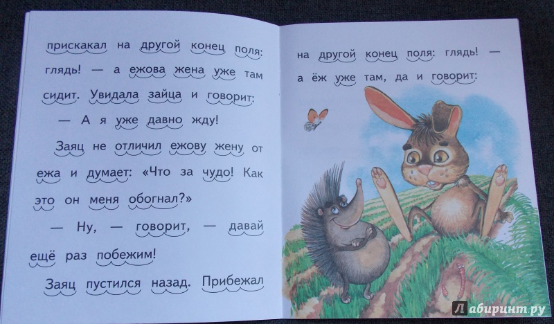 Иллюстрация 26 из 31 для Ёж и заяц - Лев Толстой | Лабиринт - книги. Источник: Sweet mama