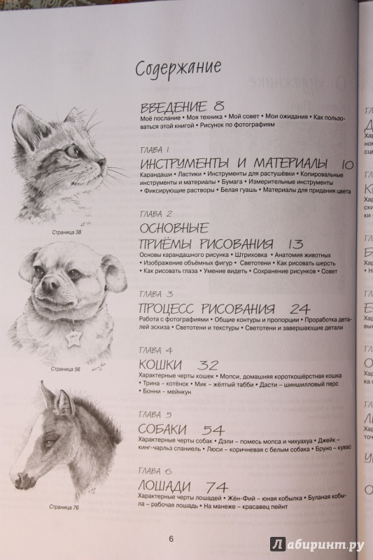Иллюстрация 2 из 16 для Как рисовать животных. Книга не только для тех, кто хочет научиться рисовать - Карен Пул | Лабиринт - книги. Источник: С  Т