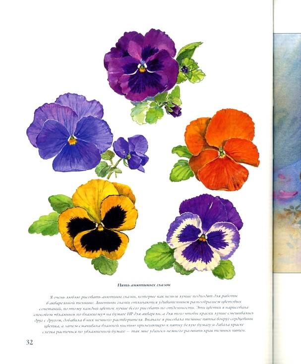 Иллюстрация 2 из 12 для Рисуем цветы акриловыми красками - Кэрол Месси |  Лабиринт - книги. Источник: *