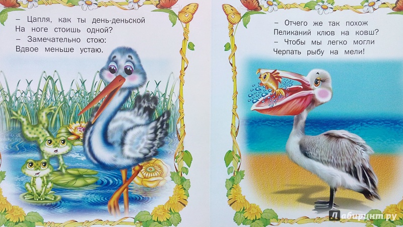 Иллюстрация 18 из 21 для Птичьи секреты | Лабиринт - книги. Источник: Alenta  Valenta