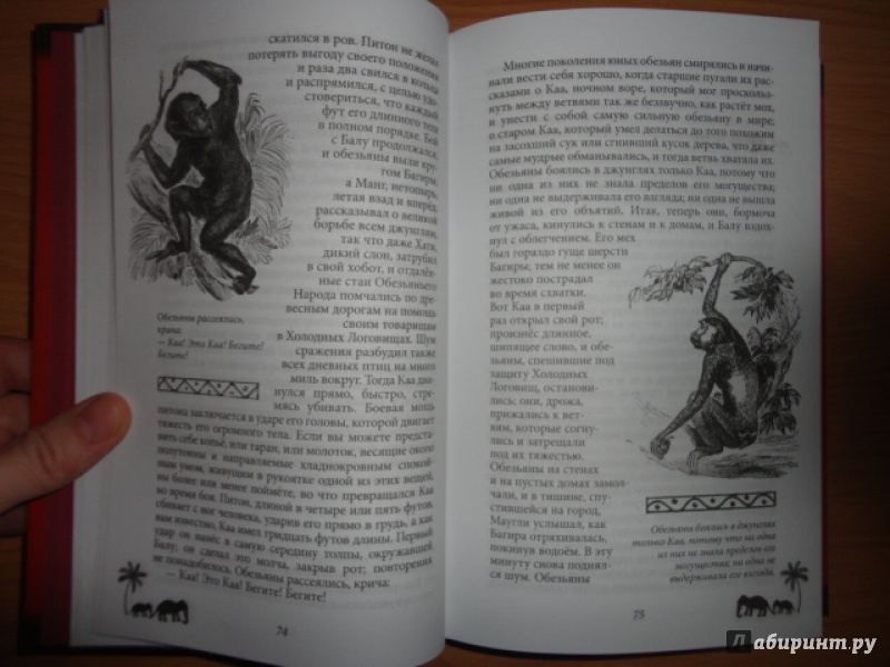 Иллюстрация 10 из 15 для Книга джунглей. Сказки и легенды - Редьярд Киплинг | Лабиринт - книги. Источник: Kristin