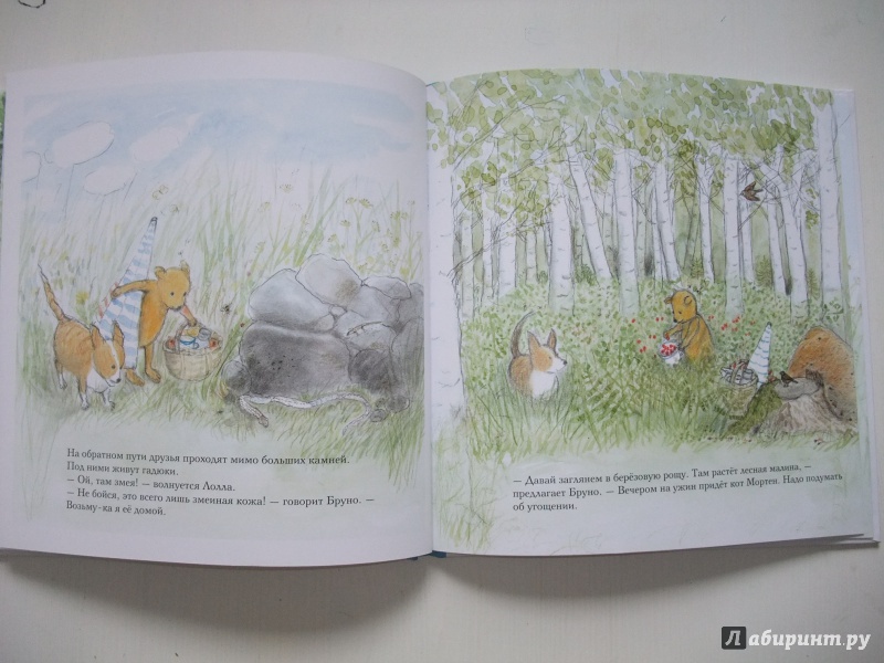 Иллюстрация 29 из 58 для Лето мишки Бруно - Гунилла Ингвес | Лабиринт - книги. Источник: AL980