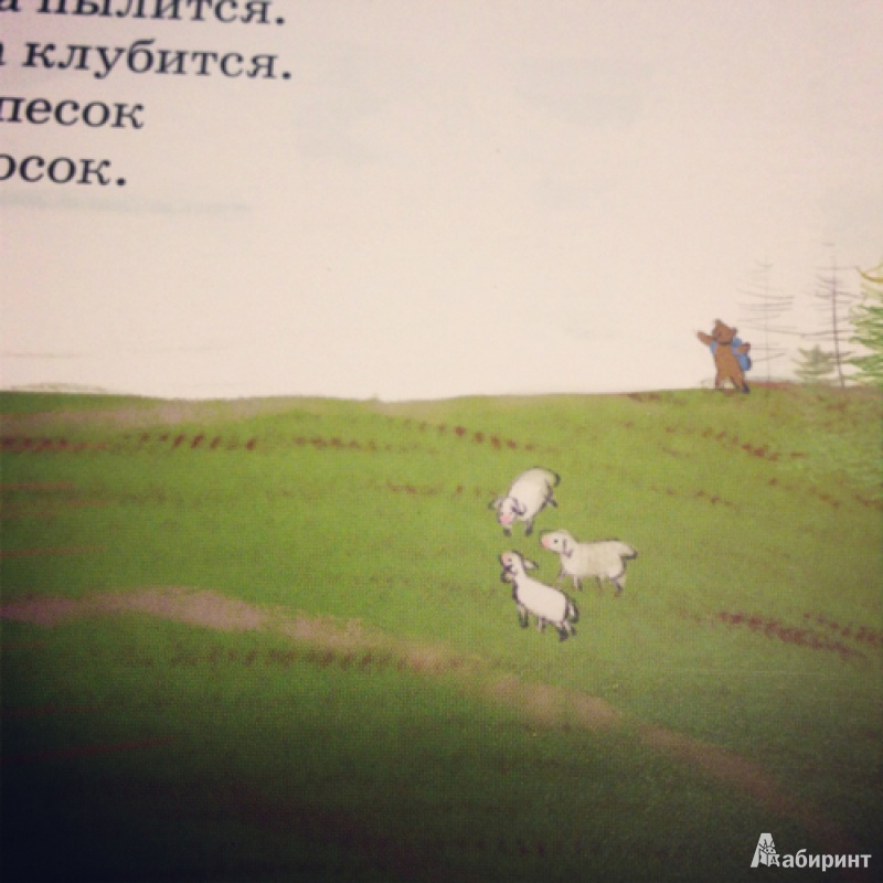 Иллюстрация 5 из 47 для Мишка Косолапый - Андрей Усачев | Лабиринт - книги. Источник: Ekatterina