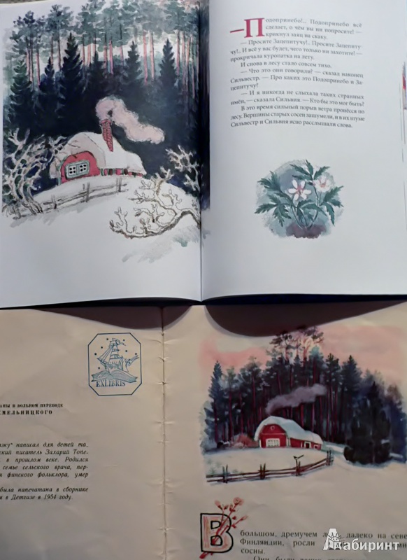 Иллюстрация 22 из 58 для Зимняя сказка - Сакариас Топелиус | Лабиринт - книги. Источник: In_Ferrum