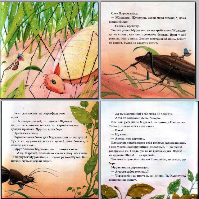 Иллюстрация 11 из 39 для В подарок малышу: Лесные сказки - Виталий Бианки | Лабиринт - книги. Источник: CDRom