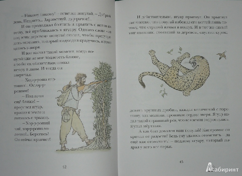 Иллюстрация 45 из 73 для Сказки сельвы: сказки о животных - Орасио Кирога | Лабиринт - книги. Источник: Ромашка:-)