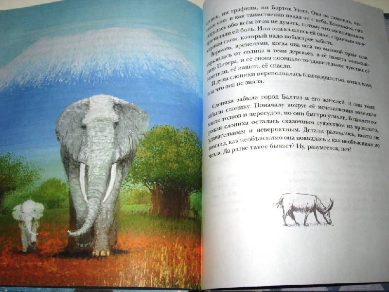 Иллюстрация 89 из 116 для Как слониха упала с неба - Кейт ДиКамилло | Лабиринт - книги. Источник: Zhanna