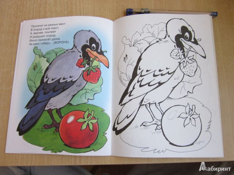 Иллюстрация 9 из 20 для Птичий обед - Юрий Чичев | Лабиринт - книги. Источник: Мeдвeдицa