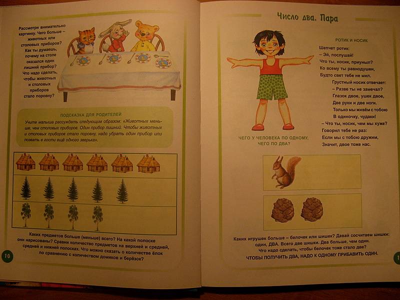 Иллюстрация 4 из 13 для Считарь. Для детей 3-6 лет - Ирина Иванова | Лабиринт - книги. Источник: NataliOk