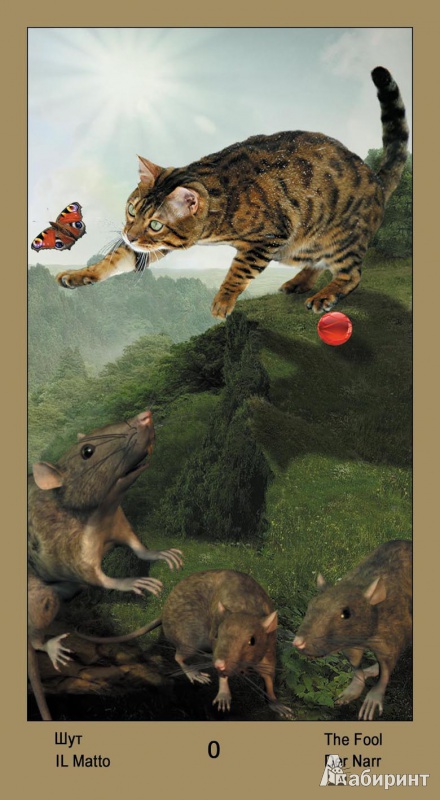 Иллюстрация 2 из 25 для Таро Катавасия, или Таро кота Василия - Владимир Странников | Лабиринт - книги. Источник: Mara
