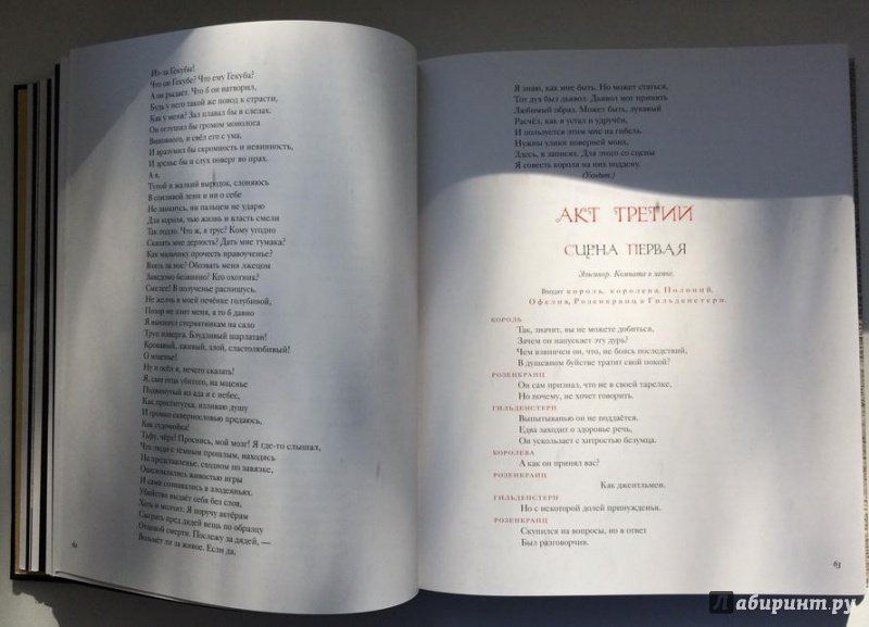 Иллюстрация 72 из 110 для Гамлет, принц датский. Сонеты. Ромео и Джульетта - Уильям Шекспир | Лабиринт - книги. Источник: Василидзе