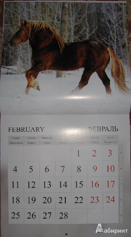 Иллюстрация 3 из 9 для Календарь 2013 "Лошади" | Лабиринт - сувениры. Источник: Nюша