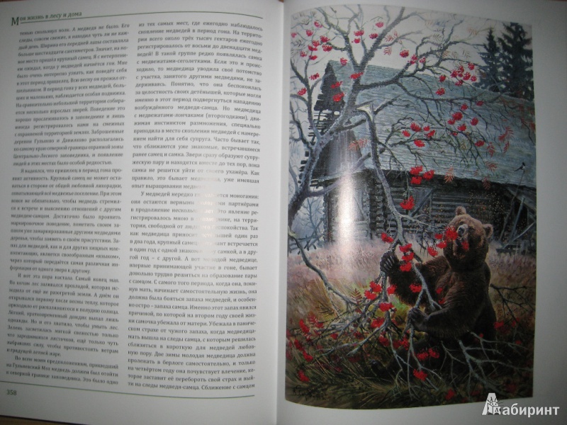 Иллюстрация 15 из 48 для Моя жизнь в лесу и дома - Валентин Пажетнов | Лабиринт - книги. Источник: Макарова  Елена