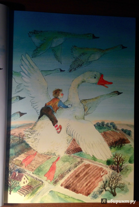 Иллюстрация 8 из 36 для Чудесное путешествие Нильса с дикими гусями - Сельма Лагерлеф | Лабиринт - книги. Источник: Псевдоним