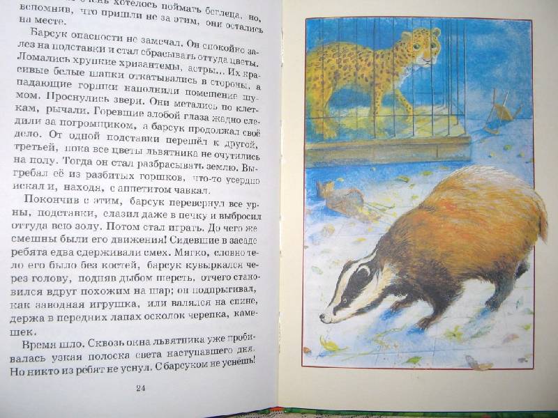 Иллюстрация 5 из 12 для Питомцы зоопарка - Вера Чаплина | Лабиринт - книги. Источник: Читательница