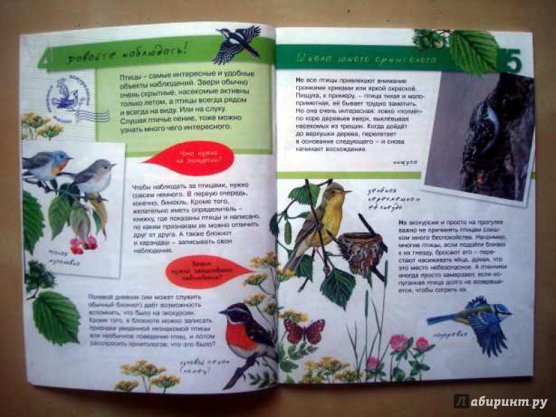 Иллюстрация 13 из 32 для Птицы - Петр Волцит | Лабиринт - книги. Источник: Актриса Весна