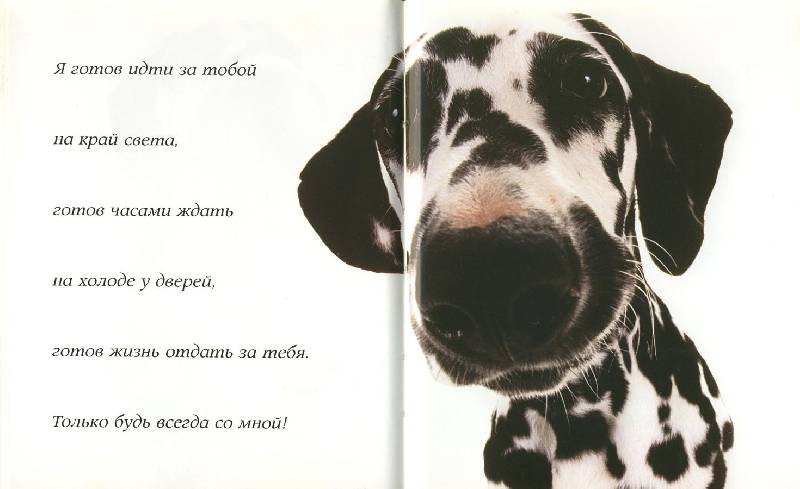 Иллюстрация 21 из 28 для Самые очаровательные собаки | Лабиринт - книги. Источник: ЛиС-а