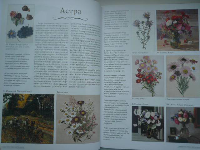 Иллюстрация 3 из 12 для Самые красивые цветы мира - А. Пантилеева | Лабиринт - книги. Источник: Nadezhda_S