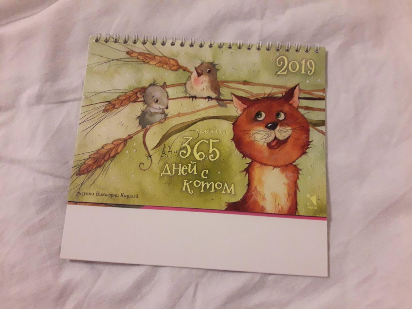 Иллюстрация 23 из 36 для Календарь-домик на 2019 год "365 дней с котом" | Лабиринт - сувениры. Источник: Матильдочка