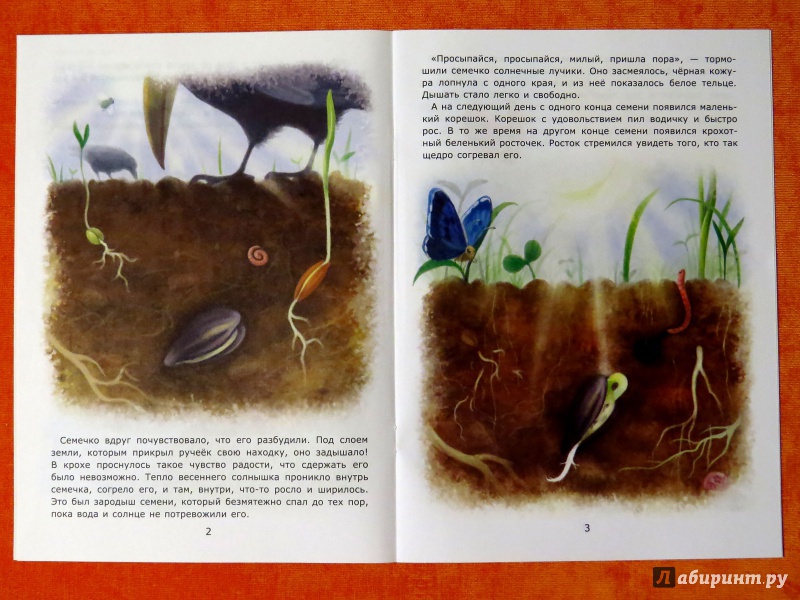 Иллюстрация 3 из 21 для Подсолнух - Лариса Тарасенко | Лабиринт - книги. Источник: Поникарова  Людмила