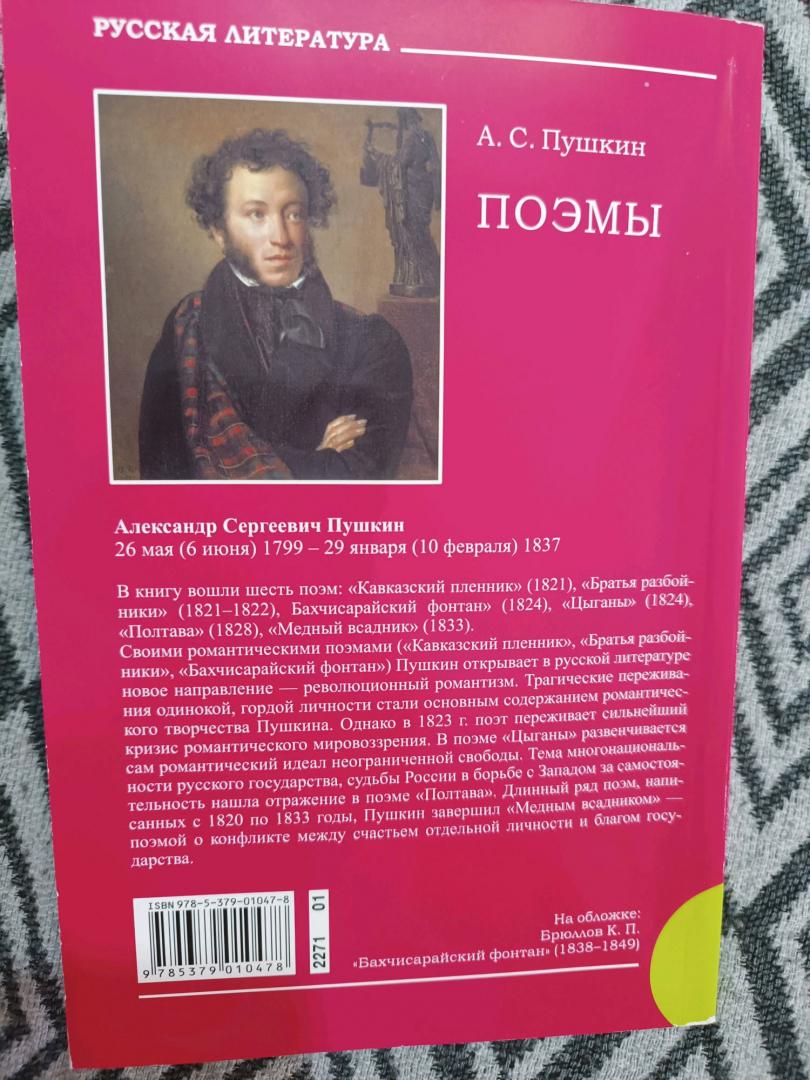 Иллюстрация 19 из 20 для Поэмы - Александр Пушкин | Лабиринт - книги. Источник: Оксана