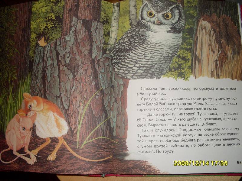 Иллюстрация 13 из 22 для Русские сказки о природе: Чижик-Пыжик - Евгений Пермяк | Лабиринт - книги. Источник: Марта