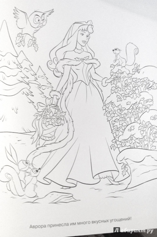 Иллюстрация 4 из 4 для Волшебная раскраска. Принцессы (№14209) | Лабиринт - книги. Источник: Миланушка