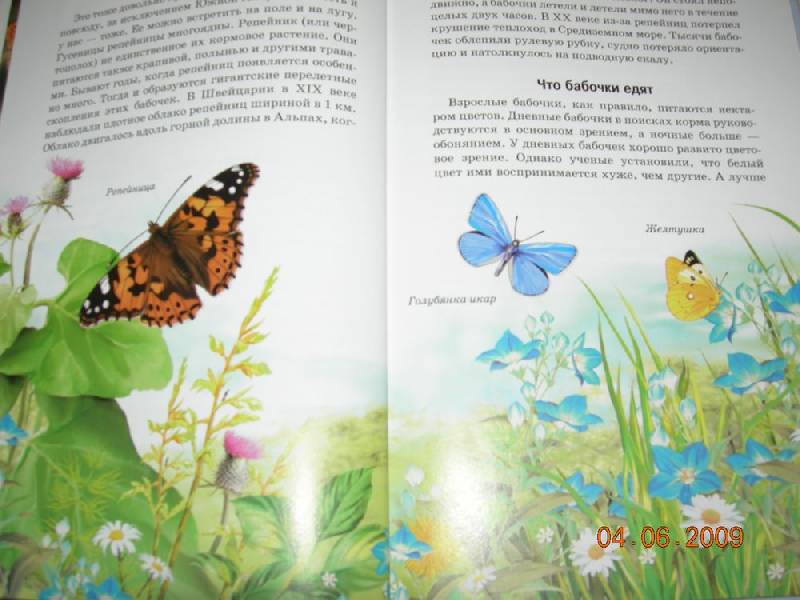 Зеленые страницы первые бабочки 2 класс читать