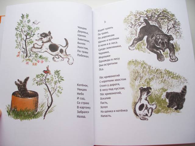 Иллюстрация 9 из 16 для Щенок и котенок - Александр Введенский | Лабиринт - книги. Источник: Осьминожка