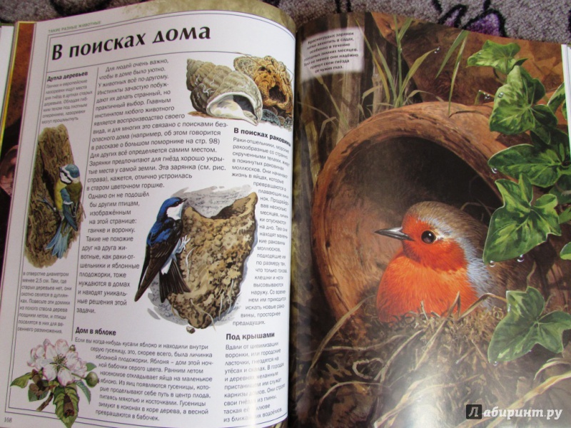 Иллюстрация 35 из 54 для Мир удивительных животных - Стоунхауз, Бертрам | Лабиринт - книги. Источник: настя тимарг