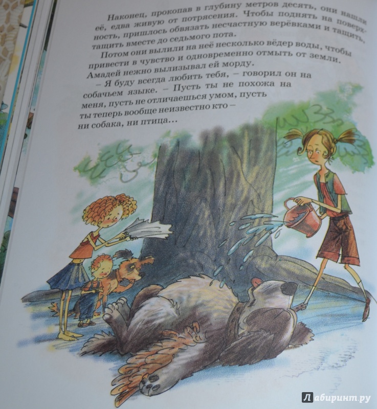 Иллюстрация 5 из 25 для Дом на дереве - Бьянка Питцорно | Лабиринт - книги. Источник: Лабиринт
