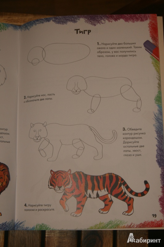 Иллюстрация 9 из 39 для Рисуем диких животных | Лабиринт - книги. Источник: Кабанова  Ксения Викторовна