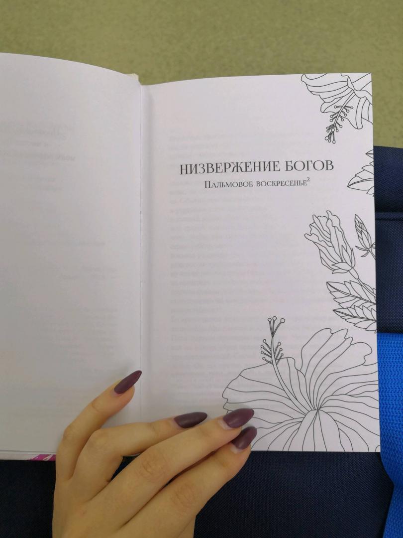Иллюстрация 26 из 39 для Лиловый цветок гибискуса - Чимаманда Адичи | Лабиринт - книги. Источник: Мельникова Ирина