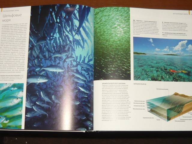 Иллюстрация 31 из 65 для Океаны - Хатчинсон, Хоукинс | Лабиринт - книги. Источник: Ромашка:-)