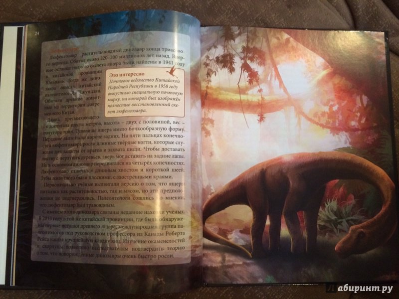 Иллюстрация 19 из 36 для Динозавры - Ирина Астапенко | Лабиринт - книги. Источник: Лабиринт