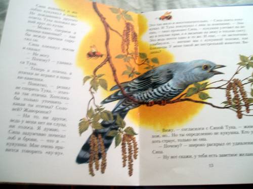 Иллюстрация 5 из 10 для Птичка Сяпа: Повесть-сказка - Мила Блинова | Лабиринт - книги. Источник: Galia