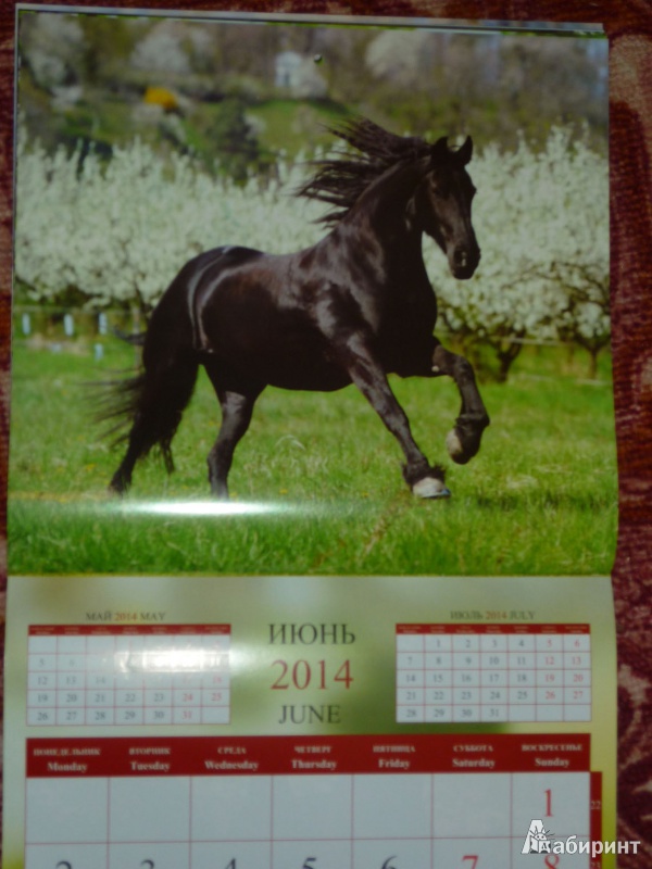 Иллюстрация 9 из 16 для Календарь 2014 "Год лошади" | Лабиринт - сувениры. Источник: Шубина  Диана Владимировна