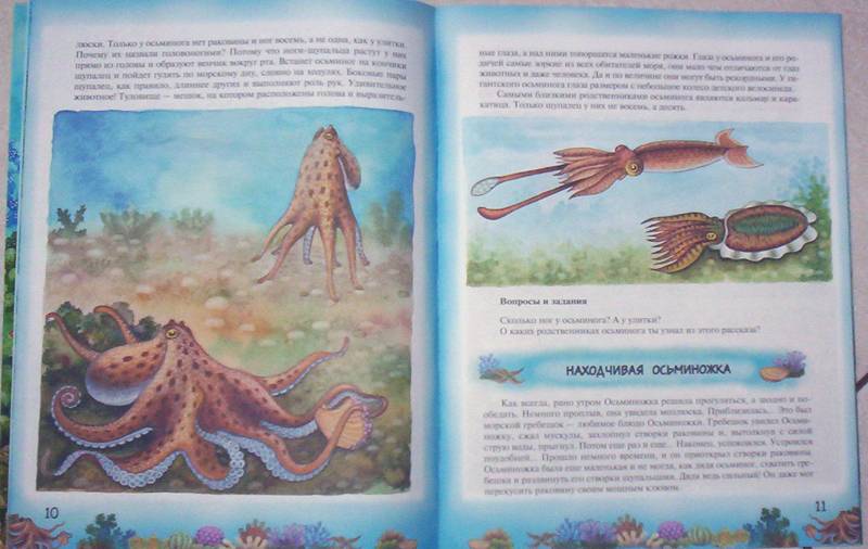 Иллюстрация 8 из 15 для Приключения Осьминожки: книга для чтения детям - Геннадий Целищев | Лабиринт - книги. Источник: просто так