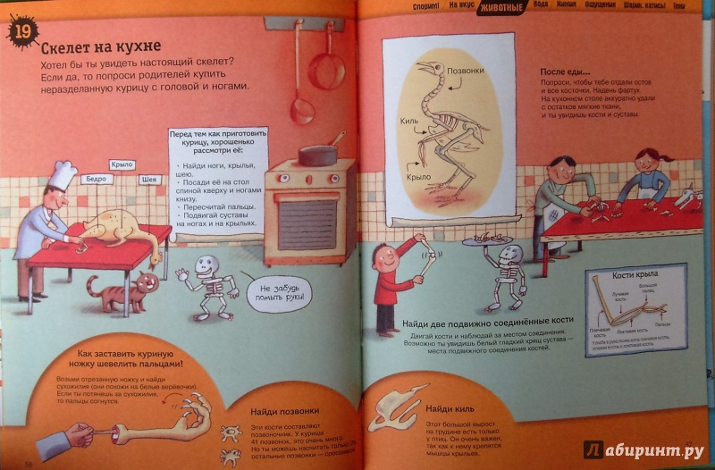 Иллюстрация 15 из 24 для Большая книга простых экспериментов для детей | Лабиринт - книги. Источник: Соловьев  Владимир