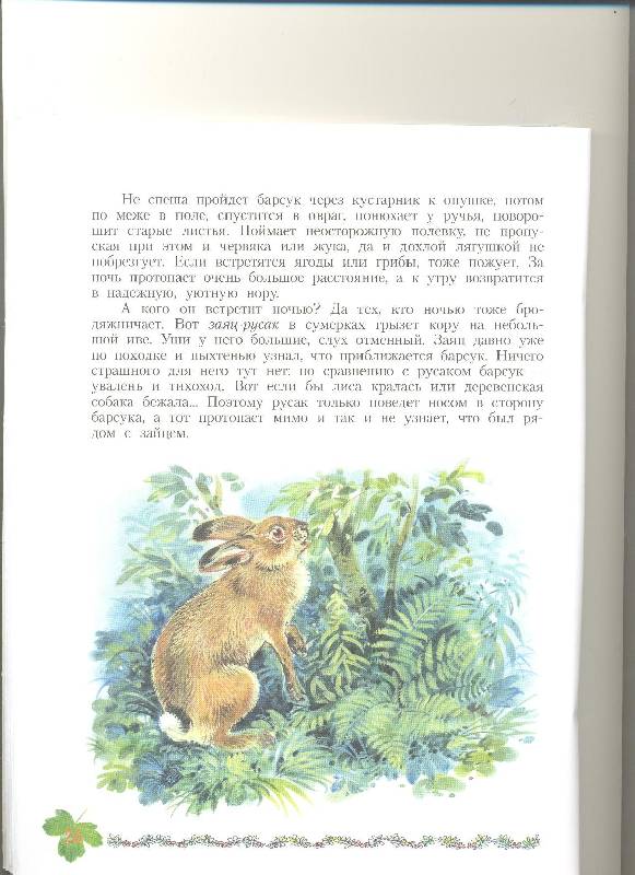 Иллюстрация 36 из 39 для Кто в кустарнике живет? Книга для чтения детям - Александр Тамбиев | Лабиринт - книги. Источник: Nchk
