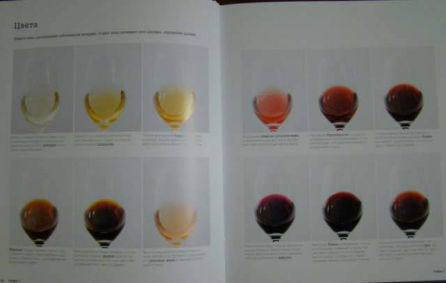 Иллюстрация 2 из 8 для Вино. Как выбирать и дегустировать вино - Эндрю Джеффорд | Лабиринт - книги. Источник: Easy